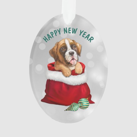 Boxer Dog Geschenk Überraschung Ornament (Rückseite)