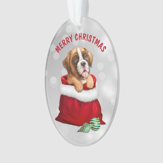 Boxer Dog Geschenk Überraschung Ornament (Vorderseite)