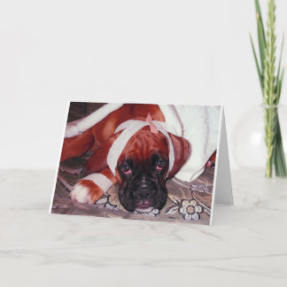 Boxer Dog 'Get Well bald on' Card Karte