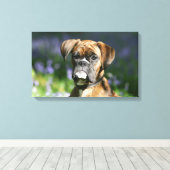 Boxer Dog Headshot Leinwanddruck (Insitu (Holzboden))