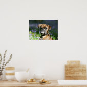 Boxer Dog Headshot Poster (Küche)