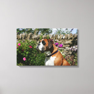 Boxer Dog in den Blume Leinwanddruck