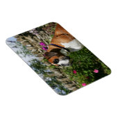 Boxer Dog in den Blume Magnet (Rechte Seite)