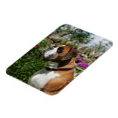 Boxer Dog in den Blume Magnet (Linke Seite)