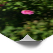 Boxer Dog in the Flowers Poster (Ecke)