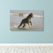 Boxer Dog in Wasser Leinwanddruck (Insitu (Holzboden))