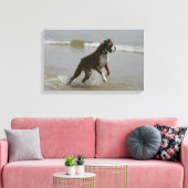 Boxer Dog in Wasser Leinwanddruck (Insitu (Wohnzimmer))