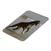 Boxer Dog in Wasser Magnet (Linke Seite)