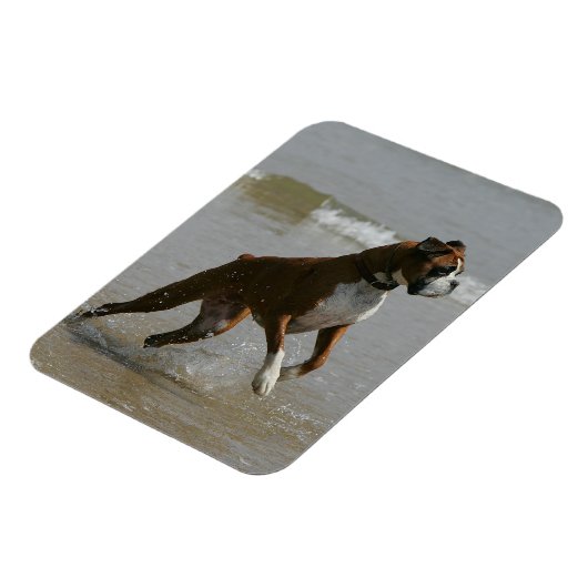 Boxer Dog in Wasser Magnet (Linke Seite)