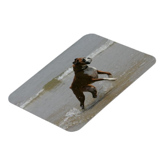 Boxer Dog in Wasser Magnet (Linke Seite)