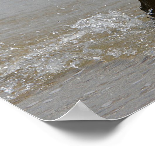 Boxer Dog in Wasser Poster (Ecke)