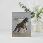 Boxer Dog in Wasser Postkarte (Stehend Vorderseite)