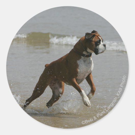 Boxer Dog in Wasser Runder Aufkleber (Vorderseite)