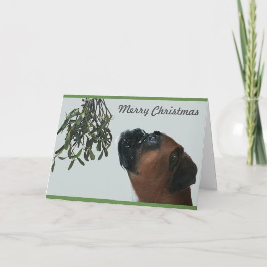 Boxer Dog Jolie mit Mistletoe Feiertagskarte (Vorderseite)