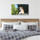 Boxer Dog Lay on Rock Leinwanddruck (Insitu (Schlafzimmer))