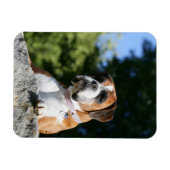 Boxer Dog Lay on Rock Magnet (Horizontal)