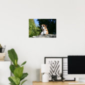 Boxer Dog Lay on Rock Poster (Heimbüro)