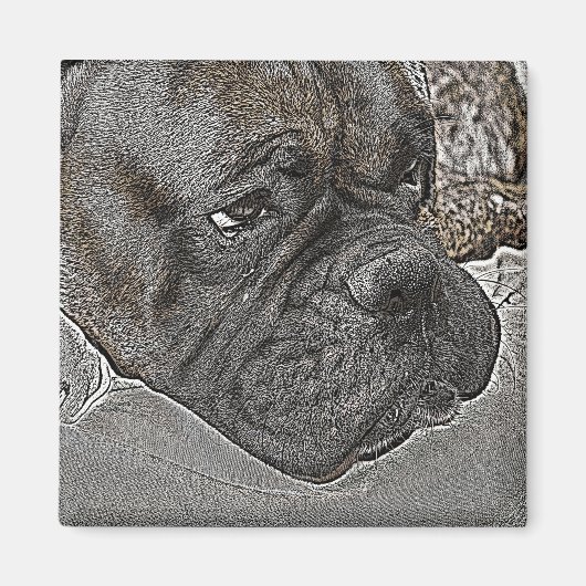 Boxer Dog Magnet (Vorne)