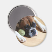Boxer Dog Magnet (Vorderseite/Rückseite)