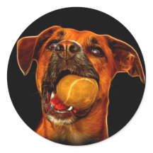 Boxer Dog Moderne Kunst