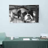 Boxer Dog On Windows bnrcn Banner (Messeveranstaltung)