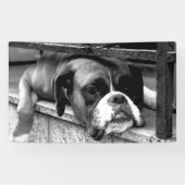 Boxer Dog On Windows bnrcn Banner (Horizontal)