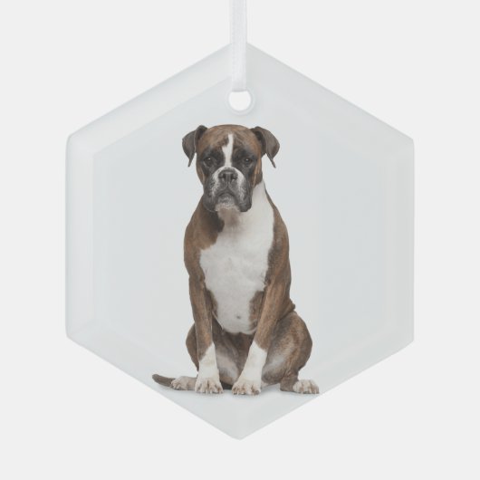 Boxer Dog Pet Animal Glass Ornament (Vorderseite)