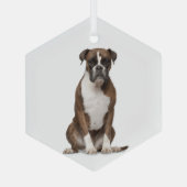 Boxer Dog Pet Animal Glass Ornament (Rückseite)
