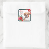 Boxer Dog Poinsettia Border Christmas Quadratischer Aufkleber (Tasche)