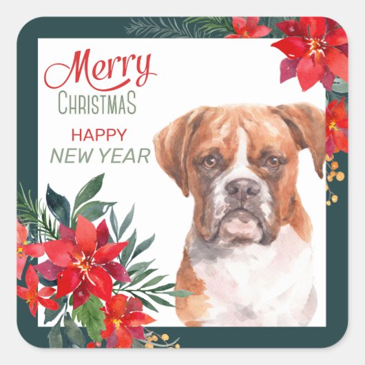 Boxer Dog Poinsettia Border Christmas Quadratischer Aufkleber (Vorderseite)