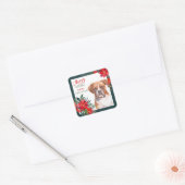 Boxer Dog Poinsettia Border Christmas Quadratischer Aufkleber (Umschlag)