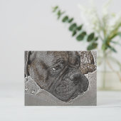 Boxer Dog Postkarte (Stehend Vorderseite)