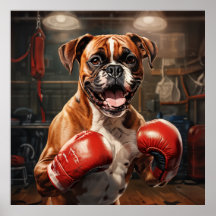 Boxer Dog Practicbox im Gym Vintag