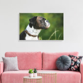 Boxer Dog Profil Leinwanddruck (Insitu (Wohnzimmer))