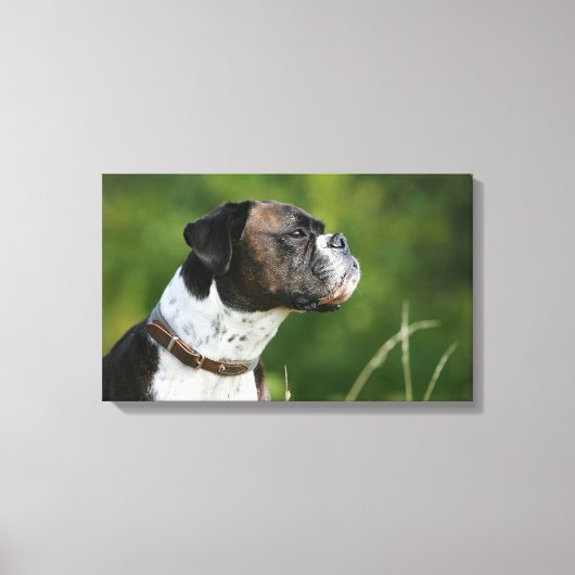 Boxer Dog Profil Leinwanddruck (Vorderseite)