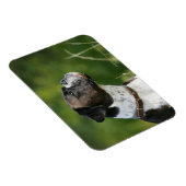 Boxer Dog Profil Magnet (Rechte Seite)