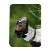 Boxer Dog Profil Magnet (Vertikal)