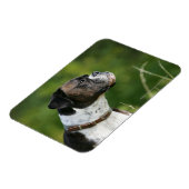 Boxer Dog Profil Magnet (Linke Seite)