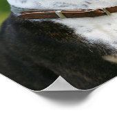 Boxer Dog Profil Poster (Ecke)