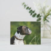 Boxer Dog Profil Postkarte (Stehend Vorderseite)
