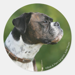 Boxer Dog Profil Runder Aufkleber