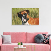 Boxer Dog Staring bei Kamera Leinwanddruck (Insitu (Wohnzimmer))