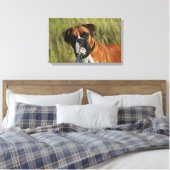 Boxer Dog Staring bei Kamera Leinwanddruck (Insitu (Schlafzimmer))