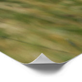 Boxer Dog Staring bei Kamera Poster (Ecke)