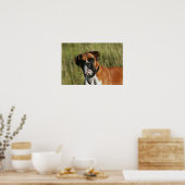 Boxer Dog Staring bei Kamera Poster (Küche)