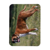 Boxer Dog Stehend Magnet (Vertikal)