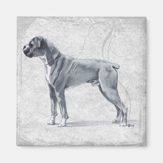 Boxer Dog Stehend Magnet