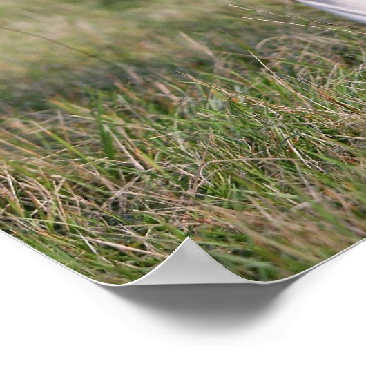 Boxer Dog Stehend Poster (Ecke)