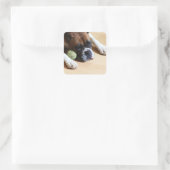 Boxer Dog Stickers (Tasche)