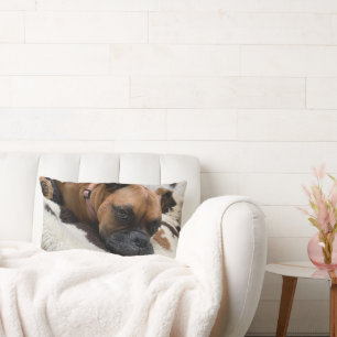 Boxer Dog Throw Kissen